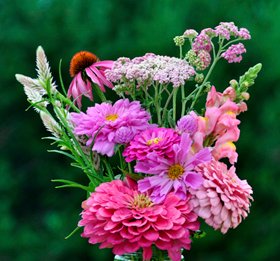 Pink Bouquet Pink Bouquet